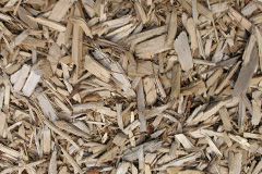 biomass boilers Carreglefn