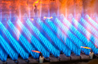 Carreglefn gas fired boilers